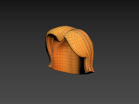 Prop312 Women Hair 3D Model