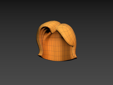 Prop312 Women Hair Modello 3D