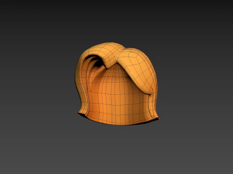 Prop312 Women Hair 3D Model