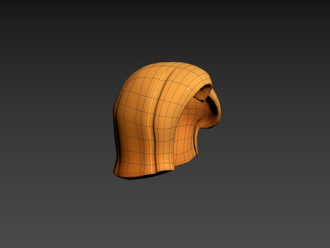 Prop312 Women Hair Modello 3D