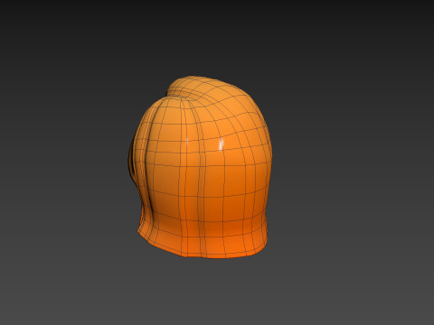 Prop312 Women Hair Modello 3D