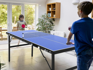 Portable Ping Pong Table Model 3D