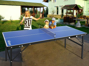 Portable Ping Pong Table Model 3D
