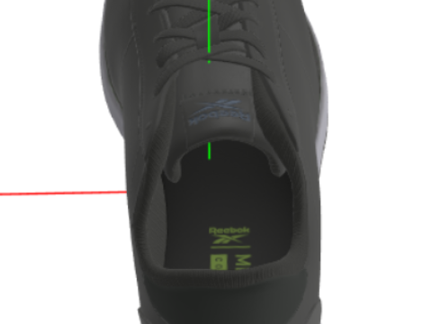 Shoes Model 3D