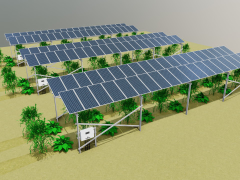 Lowpoly Agricultural Solar Energy Systems Type-1 3D-Modell