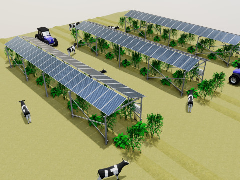 Lowpoly Agricultural Solar Energy Systems Type-2 3D 模型
