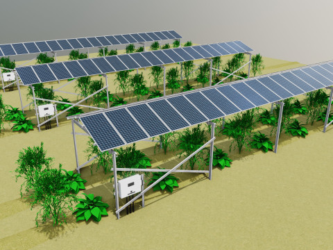 Lowpoly Agricultural Solar Energy Systems Type-2 3D 模型