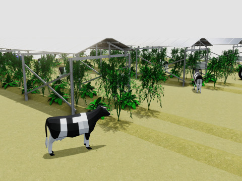 Lowpoly Agricultural Solar Energy Systems Type-2 3D 模型