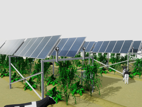 Lowpoly Agricultural Solar Energy Tracker Systems Model 3D