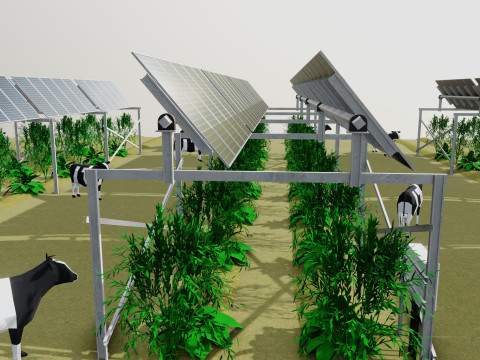 Lowpoly Agricultural Solar Energy Tracker Systems Model 3D