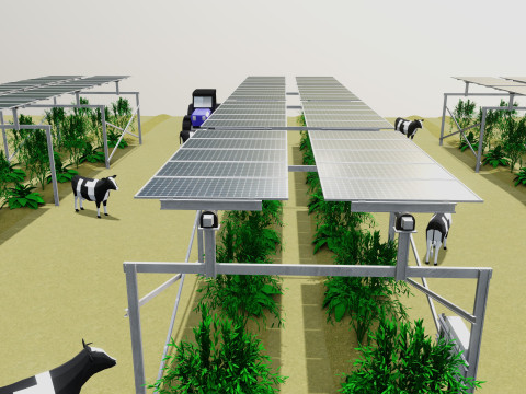 Lowpoly Agricultural Solar Energy Tracker Systems Model 3D