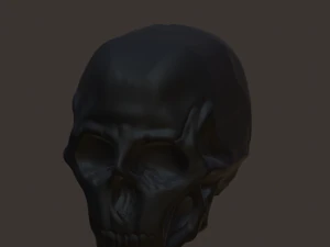 Siyah kafatası 3D Model