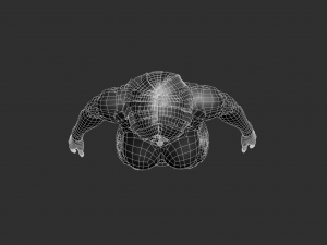 Cyborg Girl Highpoly Character 3D-Modell