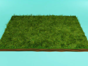 Gras Laag Poly 3D Model