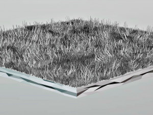 Grass Low Poly 3D Model
