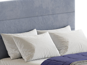 Colin bed with compartment 3D Model