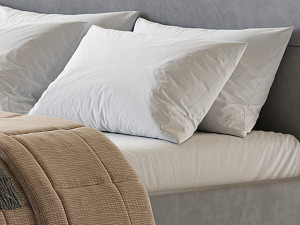 Colin bed with compartment 3D Model