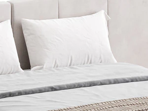 American Queen Size Bed 3D Model