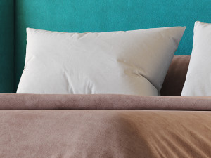 Amolife Upholstered Bed 3Dモデル