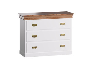 COPPELIA ARPL2049 3D-Modell