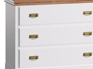 COPPELIA ARPL2049 3D Model