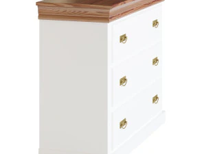 COPPELIA ARPL2049 3D Model