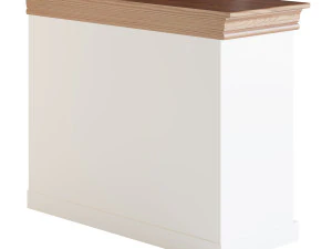 COPPELIA ARPL2049 3D Model