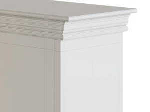 COPPELIA ARPL2049 3D Model