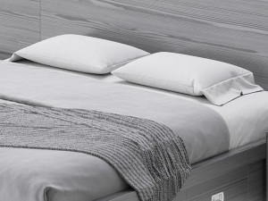 Wooden Panel Bed 3D Model