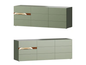 卡萨马尼亚霍姆 COMRI 3D 模型