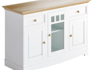 COPPELIA ARPL001B 3D Model