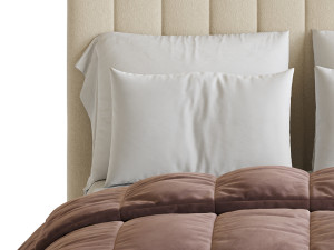 Owen Upholstered Ottoman Bed 3D Модель