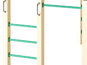 AMAZON 3M MONKEY BAR SET 3D Model