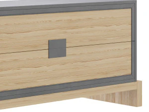 APPALOOSA comod 3D Model