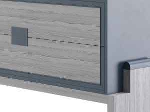 APPALOOSA comod 3Dモデル