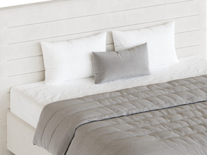Attitude Headboard 3D Модель