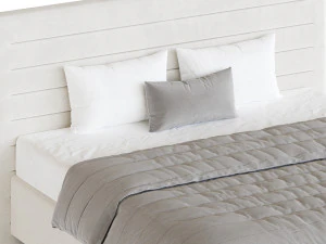 Attitude Headboard 3D Model