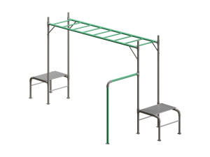 JUNIOR JUNGLE MONKEY BAR MODULE - LIFESPAN KIDS 3D Модель
