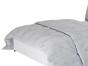 Light Wood Upholstered Panel Modern Bed 3D Model