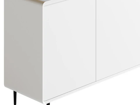 Modern Wood Sideboard with 2 Doors 3D Model