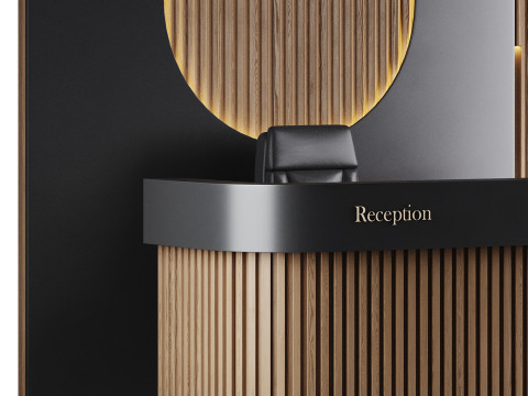 Contemporary Reception 01 Modelo 3D