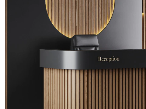 Contemporary Reception 01 3D Model