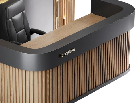 Contemporary Reception 01 3D Model