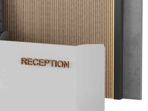 Contemporary Reception 03 3D Model