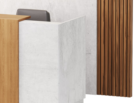 Contemporary Reception 08 3D Model