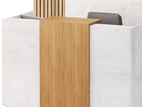 Contemporary Reception 08 3D Model