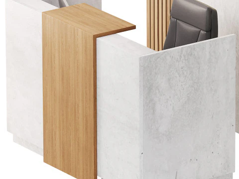 Contemporary Reception 08 3D Model