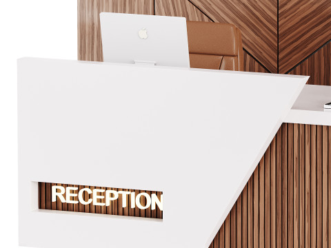 Contemporary Reception 13 3D Модель