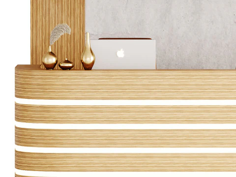 Contemporary Reception 14 3D Model