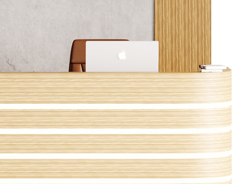 Contemporary Reception 14 3D Model